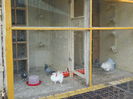 DSCN3194