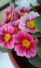 20150226_151257
