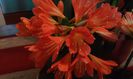 20150223_115337