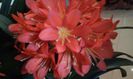 20150223_115310
