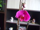 DSC06970