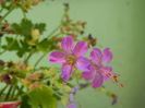 DSCN4602