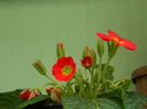 DSCN4645