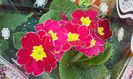20150227_132641