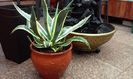 20150227_132623