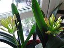 20150227_160340