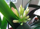 20150227_160346