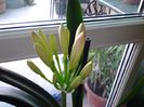 20150227_160352