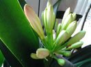 20150227_160407