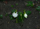DSCN5361