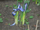DSCN5367