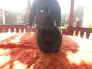 20150228_103415(0)