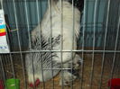 DSCF6671
