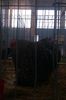 IMAG0163