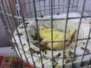 20150228_092456