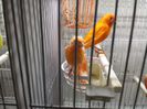 20150227_190715