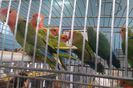 IMAG0344