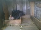 Imag 013199