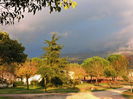 DSCN9515