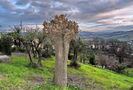 DSCN9059