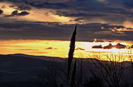 DSCN9095