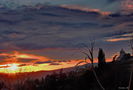DSCN9099