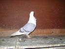 DSC00086