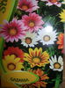gazania