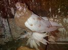 IMG-20141019-01032