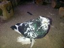 IMG-20141026-01136