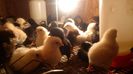IMG_20150304_120636