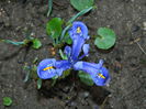 DSCN5676