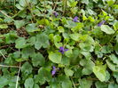 DSCN5829