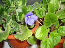 PICT0396