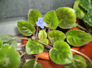 PICT0397