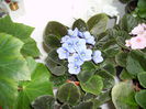 PICT0398
