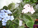 PICT0400
