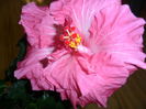 SAM_3080