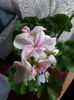 20150303_023303