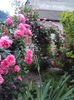 DSC05856