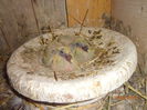 DSC00448