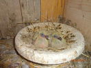 DSC00435