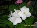 SAM_7880