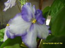 SAM_7982