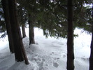 DSC04771