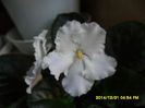 SAM_8045
