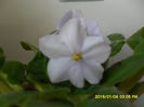 SAM_8070