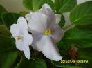 SAM_8071