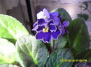 SAM_8459