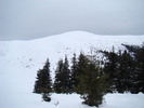 DSC04785